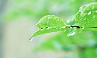 雨の音で心が落ち着く。不思議と癒される雨の魅力と効果は?