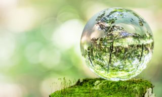 苔テラリウムのおすすめキット6選。自分だけの世界を作ってみよう!