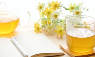 ハーブ検定の難易度ってどのくらい?独学でも合格するためには?