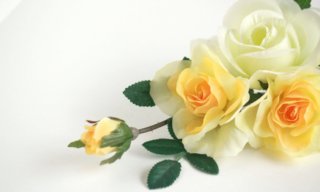 コスパ重視!安いのに高品質なおすすめの造花8選