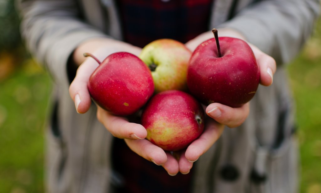 リンゴ酢ダイエットが成功しないのはなぜ 痩せるための4つの秘訣 癒しモーメント
