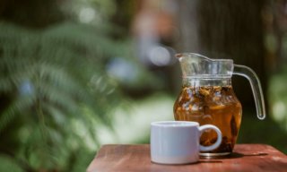 杜仲茶の実はすごい効果・効能。おすすめの美味しい飲み方5選も!